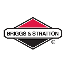 Ricambi Motori Briggs & Stratton