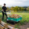 Orec_transporter_cingolato_carriola_agricola_LS-360_ambientata_2-scaled