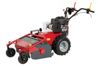 Trinciasarmenti TR 600 | Catalogo Meccanica Benassi | Duedistore